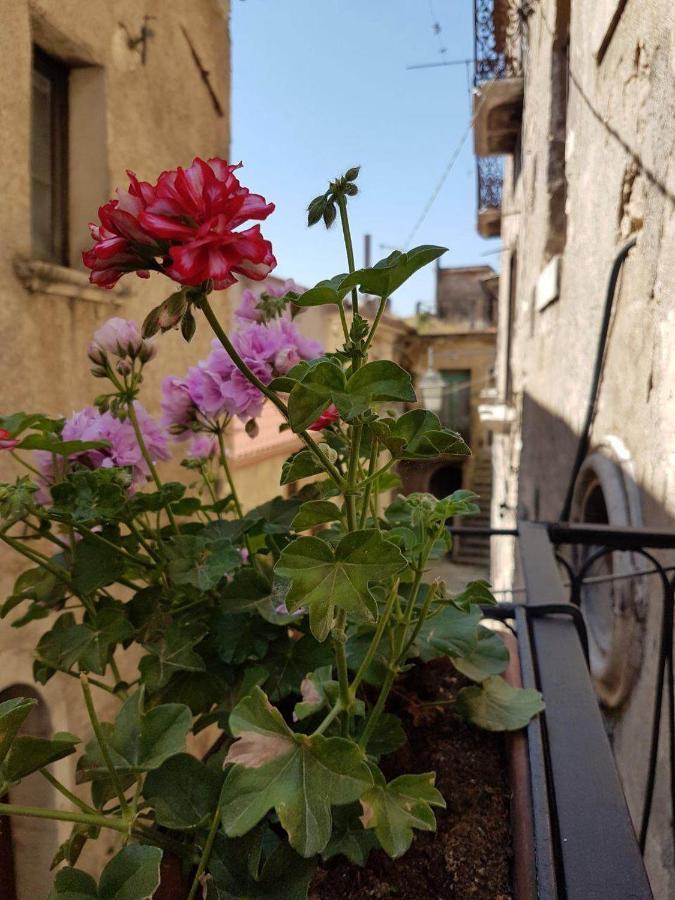 Casa Vacanze Da Mammanonna Taurasi 외부 사진